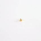 Petit Pearl Pierce #GLD [12690901]