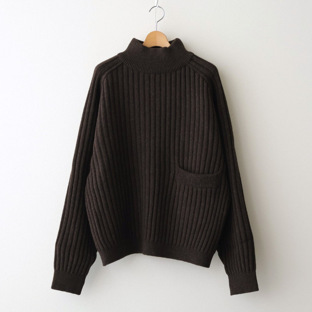 Wide Rib Highneck Sweater #BROWN [YK25FW01100S]