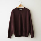 HIGH TWIST WOOL KNIT V-NECK P/O #RED BROWN [A26AV02CK]