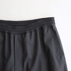 Extra Fine Wool Easy Wide Pants #GRAY [GM251-40093B]