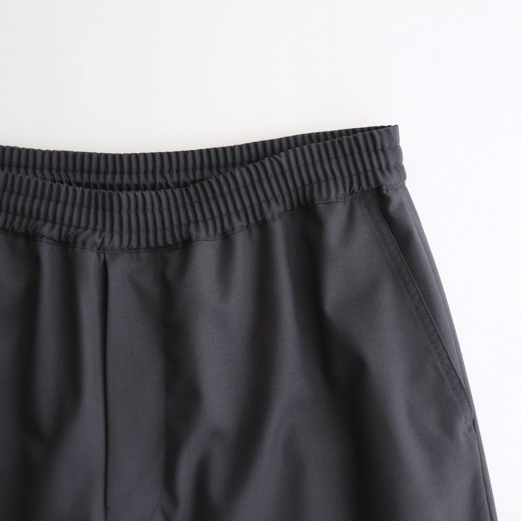 Extra Fine Wool Easy Wide Pants #GRAY [GM251-40093B]