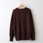 Cashmere V Neck #BORDEAUX BROWN [I25AW-IBC63]