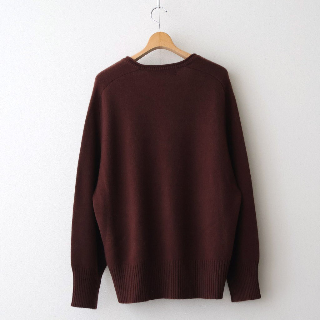 Cashmere V Neck #BORDEAUX BROWN [I25AW-IBC63]