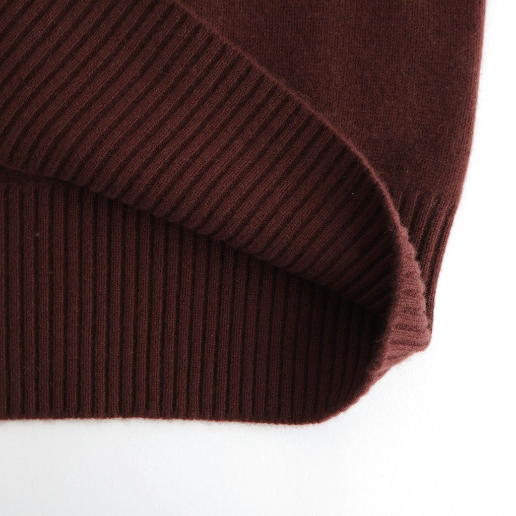 Cashmere V Neck #BORDEAUX BROWN [I25AW-IBC63]