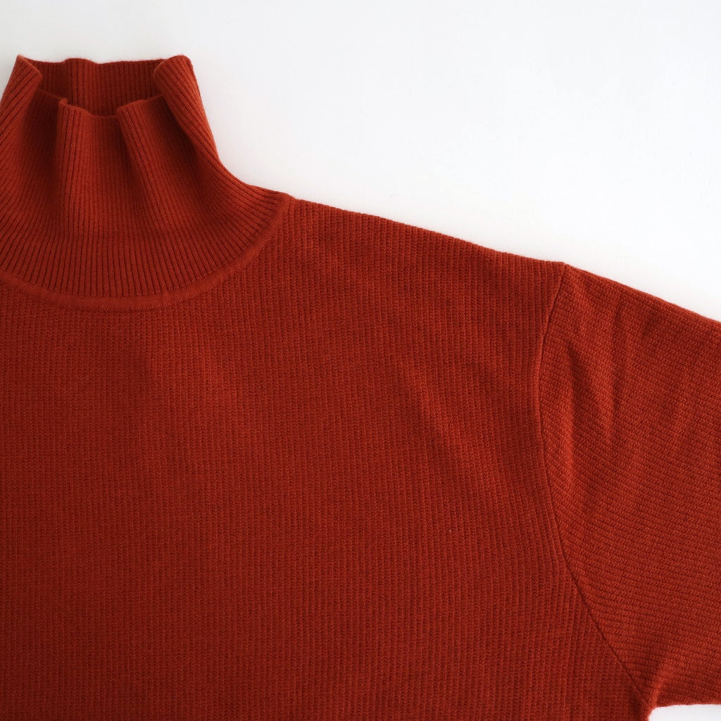 Turtle Neck #BRICK [2503-006]