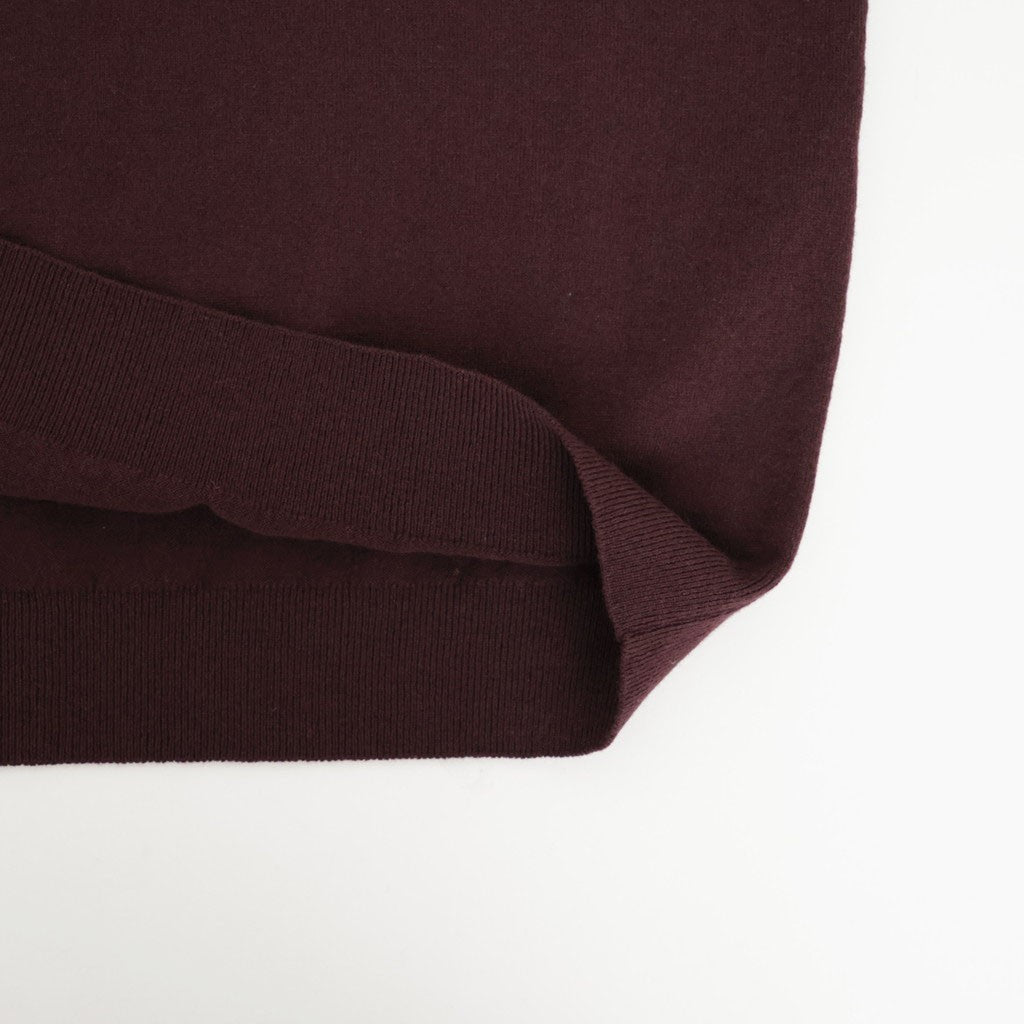 HIGH TWIST WOOL KNIT V-NECK P/O #RED BROWN [A26AV04CK]