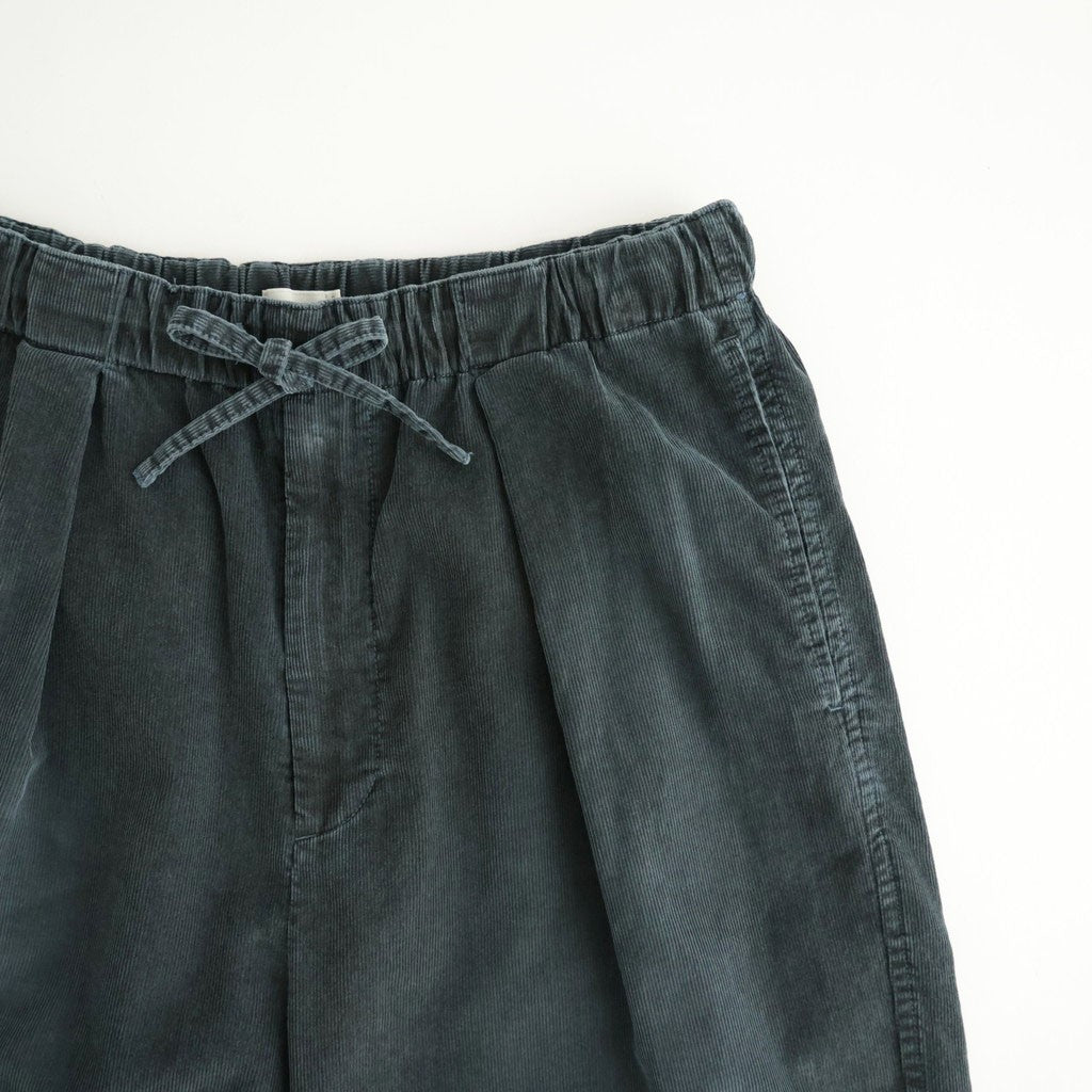 Corduroy 1Pleated Easy Trousers #Blue [YK26FW01339P]