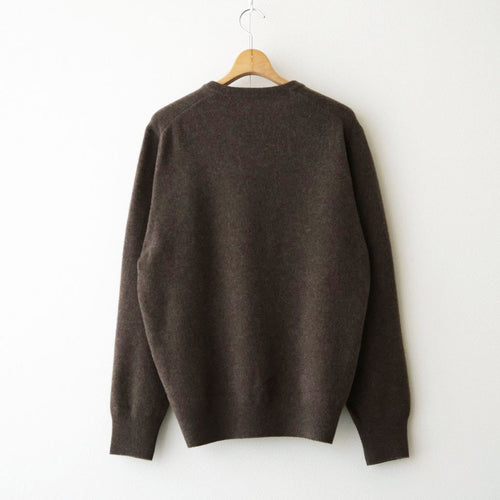 EXTRA FINE WOOL KNIT CREW NECK LS #MOCHA [ST.1634]