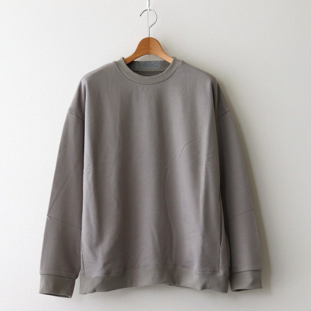 カラーチップSWトレーナー #GREIGE [D224-T985]