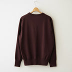 HIGH TWIST WOOL KNIT V-NECK P/O #RED BROWN [A26AV02CK]