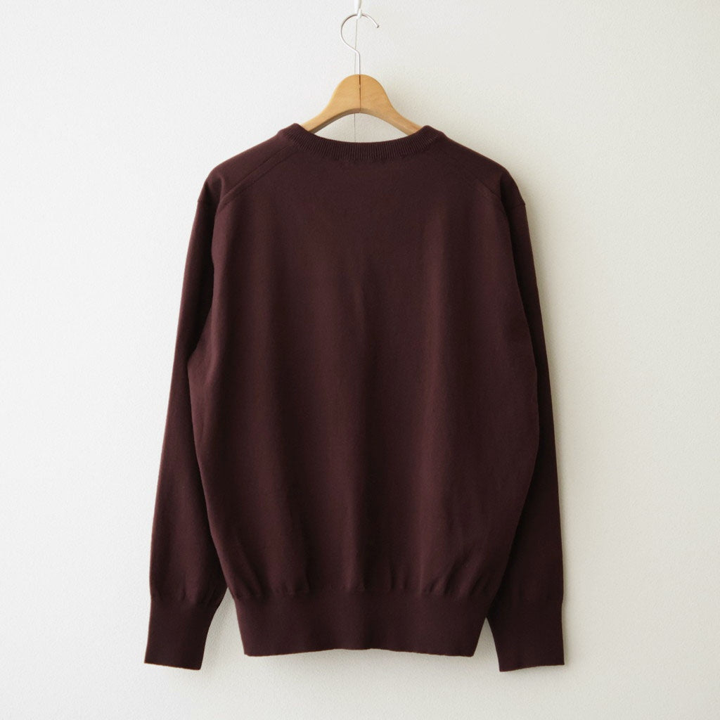 HIGH TWIST WOOL KNIT V-NECK P/O #RED BROWN [A26AV02CK]