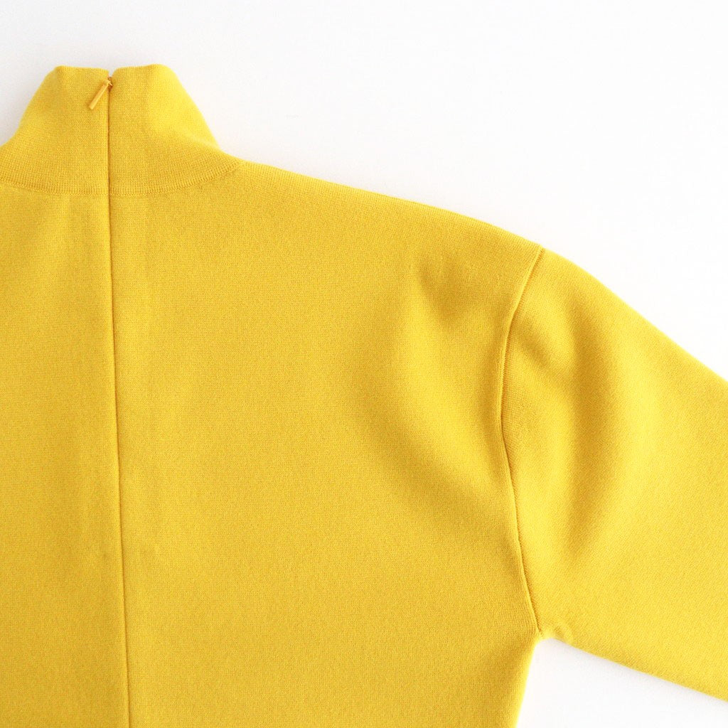 FINE WORSTED WOOL MILANO RIB KNIT TURTLE #MUSTARD [A26AT01CR]