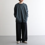 カラーチップSWトレーナー #GREEN [D224-T985]