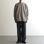 カラーチップSWトレーナー #GREIGE [D224-T985]