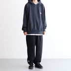 VIBTEX FOR FRESHSERVICE SWEAT PULL HOODIE #GRAY [FSW-22-SW_118]