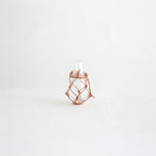 KJELDAHL FLASK/100ML #NATURAL [SV-NF-100]